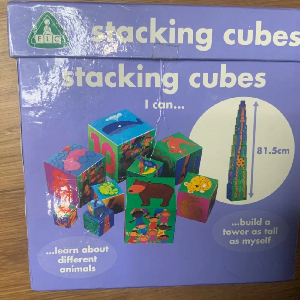Early Learning Center 10 Stacking Cubes.